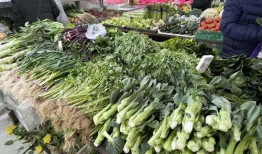 网友爆料买菜视频大全集,菜市场生活百态，一网打尽买菜瞬间